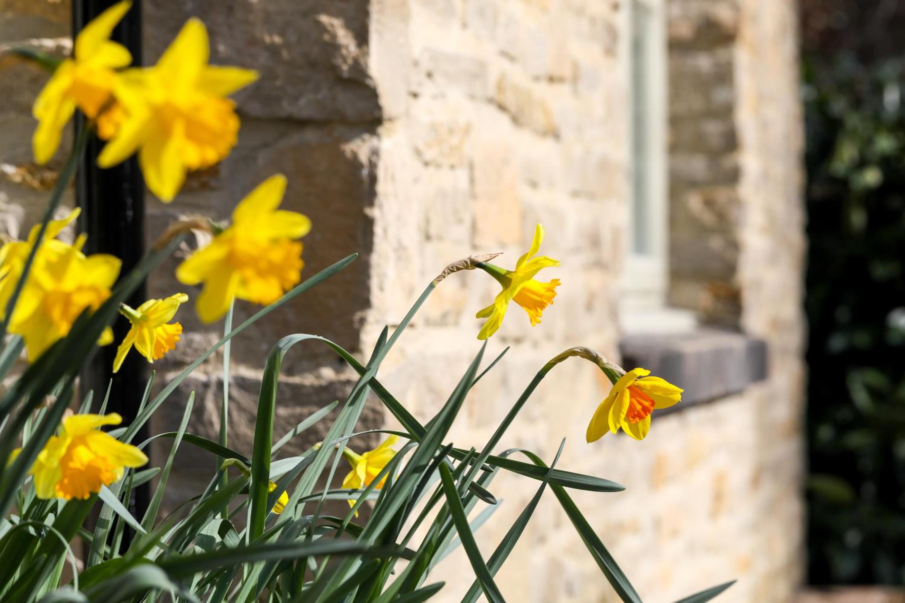 Stratton House Hotel & Spa