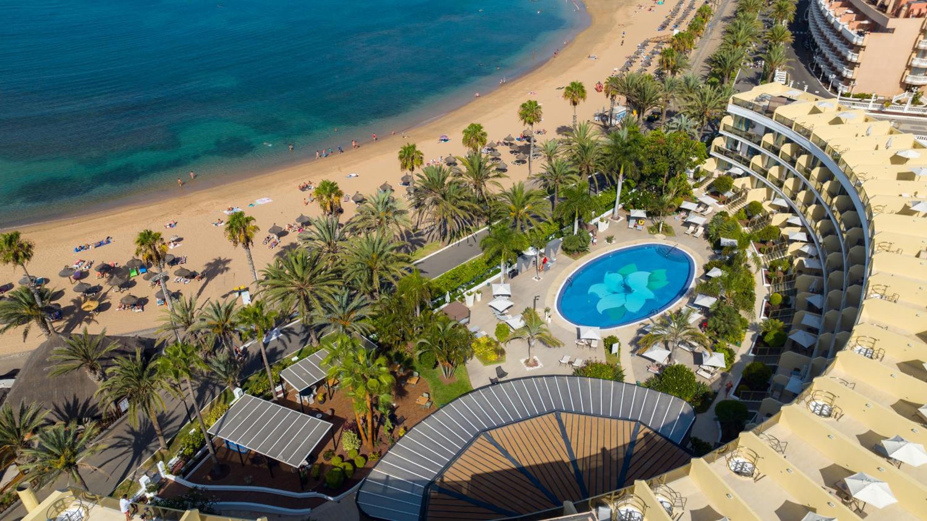 Sir Anthony, Tenerife